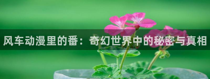 动漫岛88dmw怎么没了：风车动漫里的番：奇幻世界中的秘密与真相