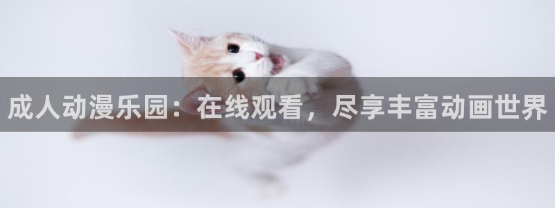 动漫岛怎么没了：成人动漫乐园：在线观看，尽享丰富动画世界