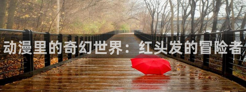 动漫岛攻略：动漫里的奇幻世界：红头发的冒险者