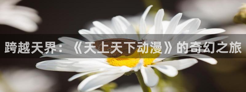 动漫岛下载：跨越天界：《天上天下动漫》的奇幻之旅