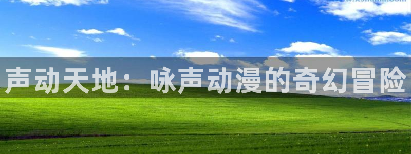 动漫岛最新：声动天地：咏声动漫的奇幻冒险